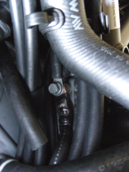 dscn9659.jpg